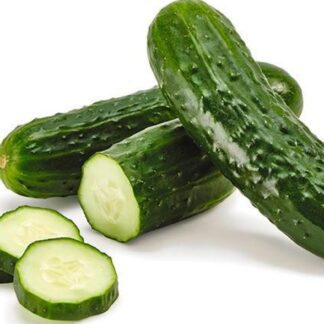 pepino kttd u22060900288akb 1200x840@la verdad