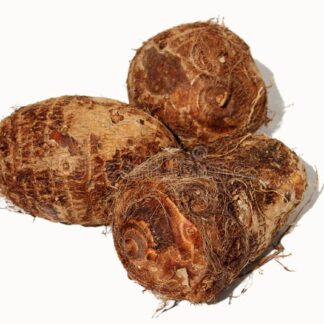 taro o malanga colocasia esculenta imagen vegetal sobre fondo blanco cocoyams viejo cocoyam arrowroot eddoe macabo tubérculos 246149050