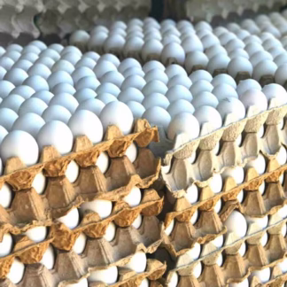 Cartón de Huevos 30u